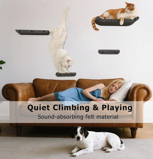 Wall Mounted Cat Shelves and Perches,Scratchable Cat Beds & Furniture for Indoor Cats, Soft PET Felt Feline Climbing Wall Set, Modern Jungle Gym System for Lounging and Sleeping (Set of 4-Grey)