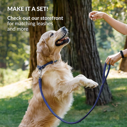 CollarDirect Rolled Leather Dog Collar, Soft Padded Round Puppy Collar, Handmade Genuine Leather Collar Dog Small Large Cat Collars 13 Colors (11-14 Inch, Deep Blue Smooth)