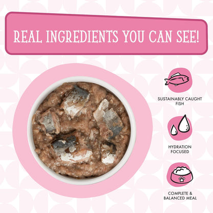 Weruva Cats in The Kitchen, Kitty Gone Wild Wet Cat Food, 10oz Can (Pack of 12)