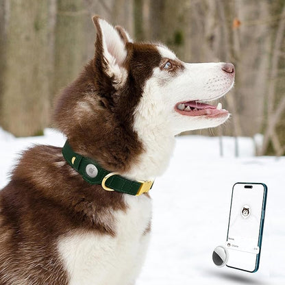 Leather Airtag Dog Collar - Soft Tracking Dog Collar with Apple AirTag Holder and Metal Buckle - Safety GPS Pet Collars for Small Medium Large Dogs Puppy Pink Red (Green, XS, 9"-12" Neck Fit)