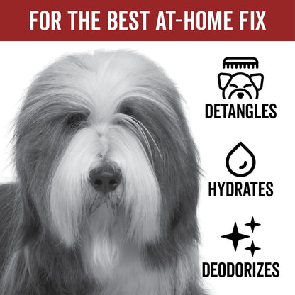 Pride and Groom DogDays Detangling Coat Spray for All Dogs | Conditioner & Detangler Spray for Shiny, Tangle-Free Fur | Hydrating & Repairing Formula with Fresh Scent | Made in USA – 16 fl oz