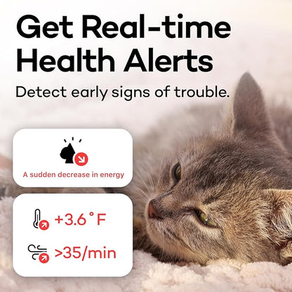 Health Tracker for Cats - Smart Cat Collar with Safety Breakaway Buckle for Indoor Cats, Wellness Alerts, Real-time Monitoring (Kimono (Sakura -Night-),S)