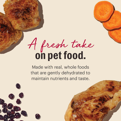 The Honest Kitchen Dehydrated Grain Free Chicken Cat Food, 2 lb Box