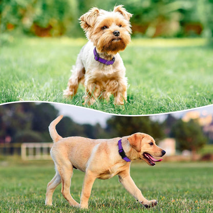 Reflective Dog Collar Padded with Soft Neoprene Breathable Quick Release Basic Dog Collars for Large Dogs Purple Girl