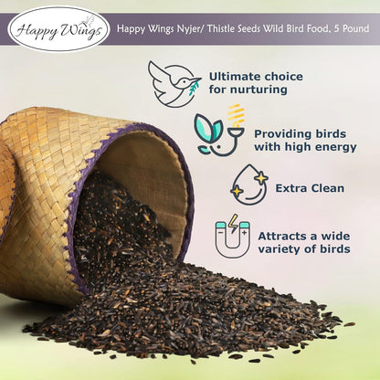 Nyjer/Thistle Seeds with Empty Sock for Wild Bird Food - 5 Pounds I No Grow Seed