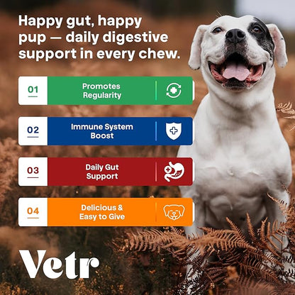 Vetr Probiotic Chews for Dogs - Chicken Flavored - Probiotics for Digestive Health - 120 Soft Chews - Vet-Formulated in USA
