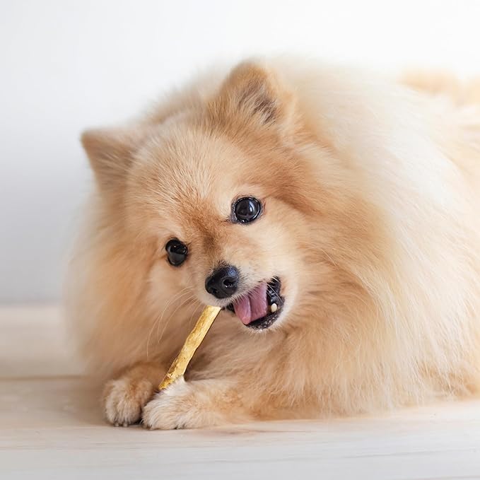 Fieldcrest Farms Nothin' to Hide Twist Stix, Beef Flavor, Easily Digestible, Supports Skin, Coat, Joints & Muscles, for Moderate Chewers Under 15lbs, 10 Pieces