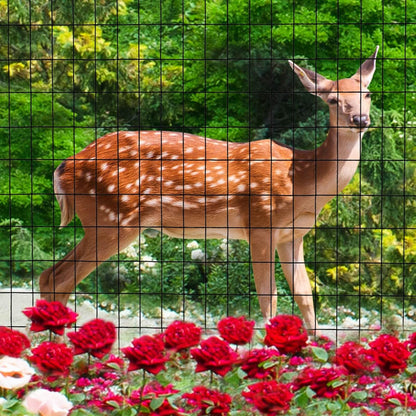 Black PVC Coated Welded Wire Fence 48 Inch x 25 Foot, 2 Inch x 3 Inch 16GA, Garden Border Fencing Roll Vinyl Coating Metal Wire Mesh for Yard Vegetable Plant Protection Poultry Netting