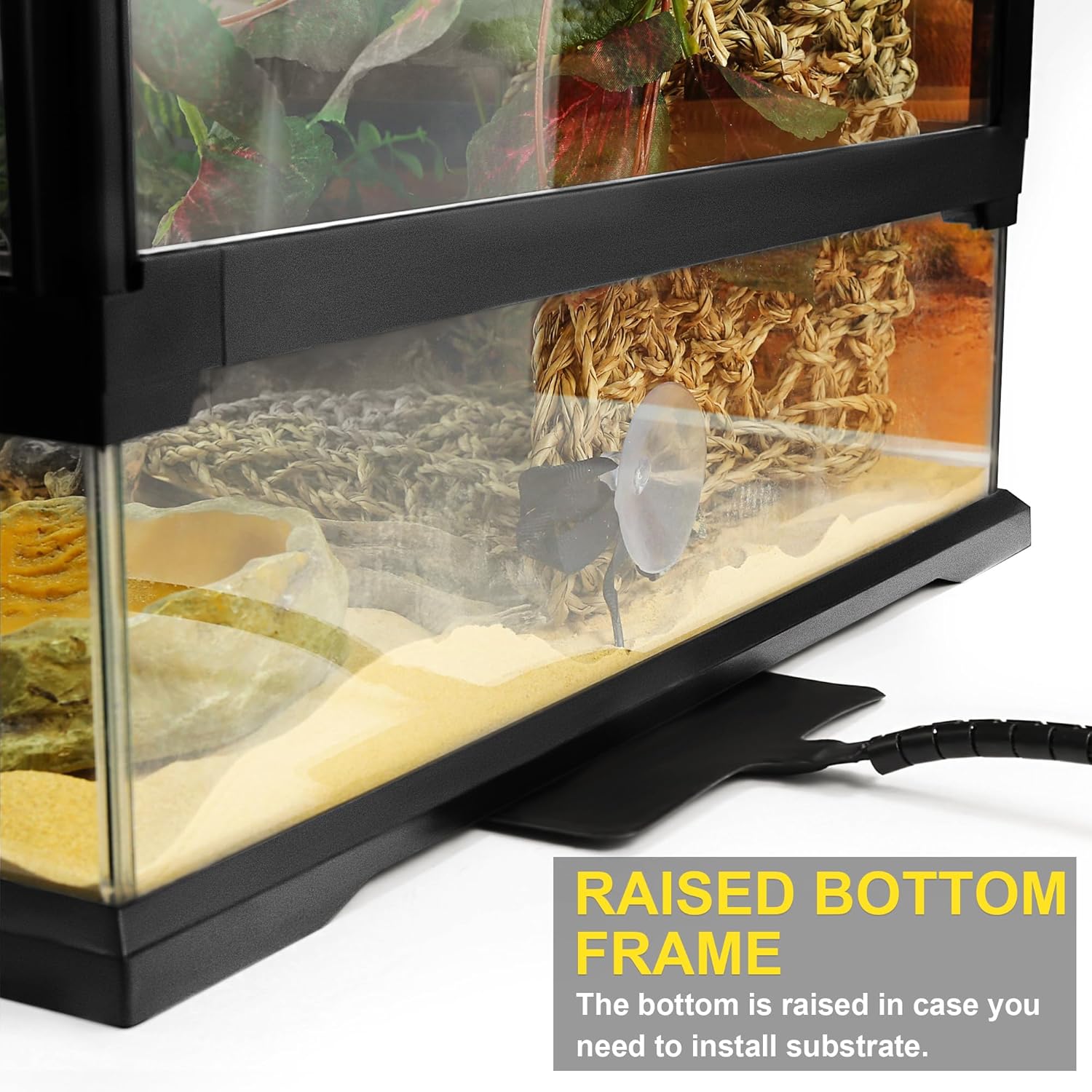 10 Gallon Professional Glass Terrarium 12"x12"x18" Durable Reptile Habitat Tank with Heat Resistant Aluminum Alloy Frame, Dual Front Swinging Doors for no Jam by Sand and Other Debris - Pawvie