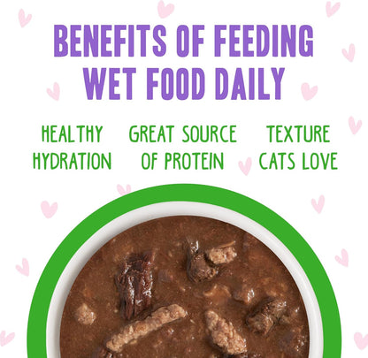 Weruva B.F.F. OMG - Best Feline Friend Oh My Gravy!, Tuna & Lamb Lights Out with Tuna & Lamb, 2.8oz Can (Pack of 12)