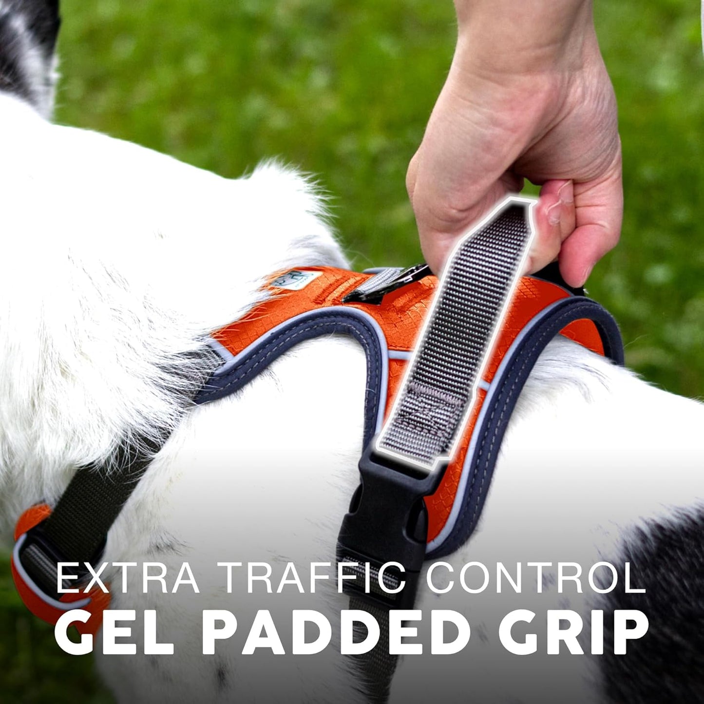 Embark Adventure Dog Harness, Reflective Trim No Pull Harness for Medium Sized Dog - Military Grade Nylon, Front Clip with Gel Lined Handle. Soft & Padded Puppy