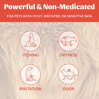 SKOUT'S HONOR Probiotic Itch Relief Shampoo for Pets - Non-Medicated, Fragrance-Free, Paraben & Sulfate-Free, with Avocado Oil & Omega 3's, 16 Fl Oz