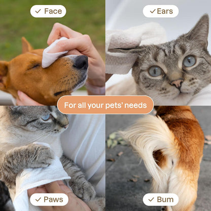 ATTITUDE Pet Wipes for Dogs & Cats, 99% Water, EWG Verified, Gentle & Unscented Cleaning Wipes for Paws, Ears, Face & Body, Deodorizing, Safe for Puppies & Kittens, 72 count