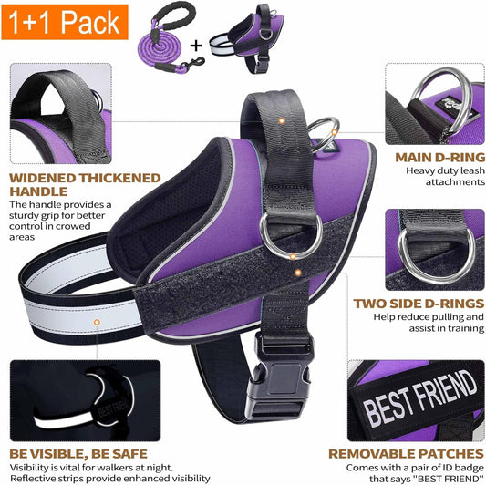 Haapaw Essential Dog Harness, No Pull Pet Vest with 3 Leash Clips, No Choke, Reflective, Adjustable and Padded, for Easy Walking and Training for Small Dogs(S, Purple)