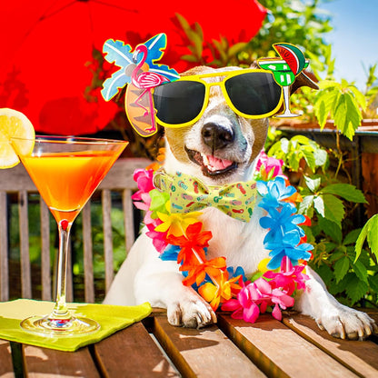 Elegant Little Tail Bowtie Dog Collar - Summer Cute Bow for Small to Large Dogs