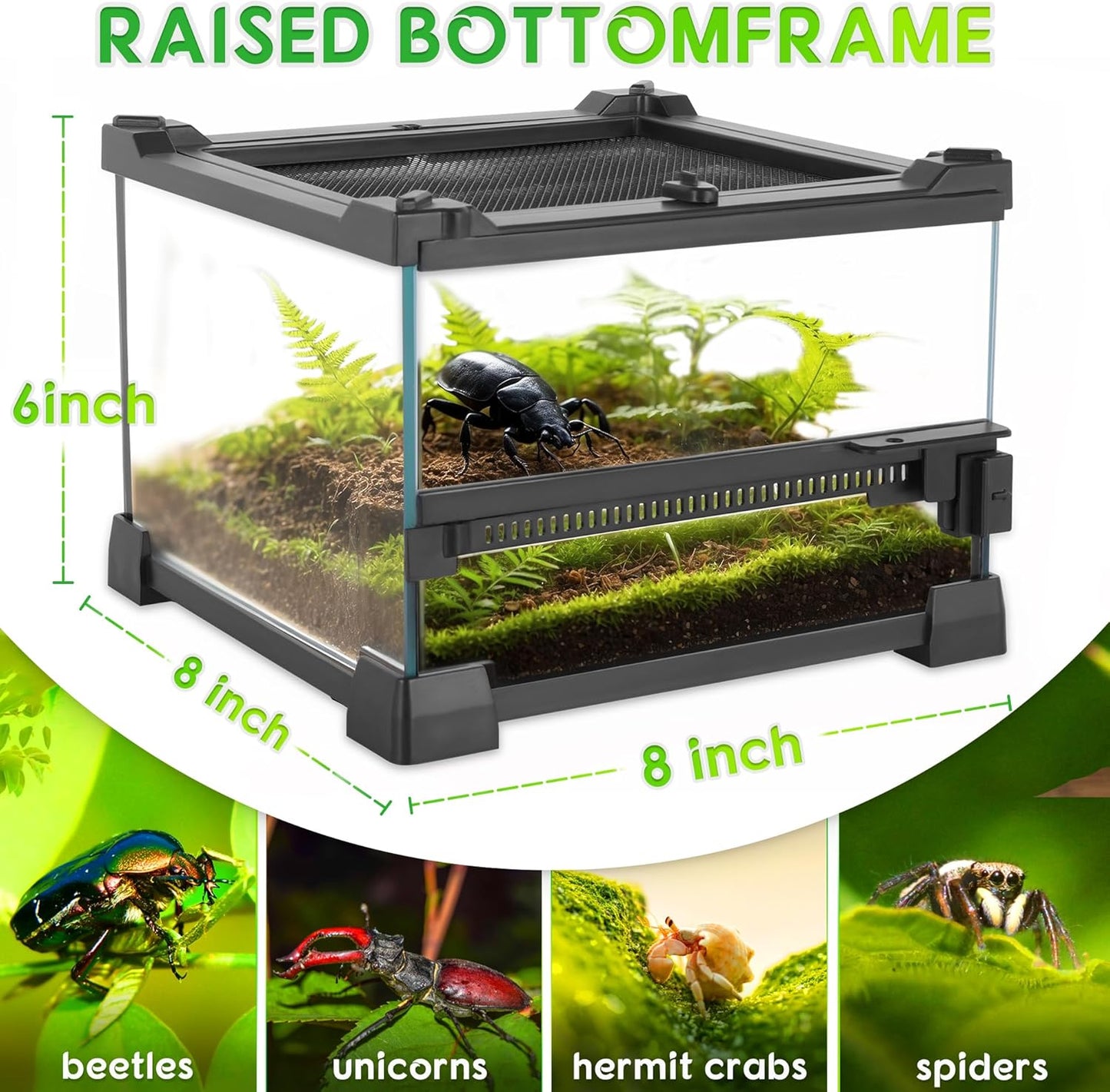 Mini Reptile Glass Terrarium 8"x8"x6" Durable Reptile Habitat Tank with Heat Resistant Aluminum Alloy Frame, Single Swinging Doors for no Jam by Sand and Other Debris - Pawvie