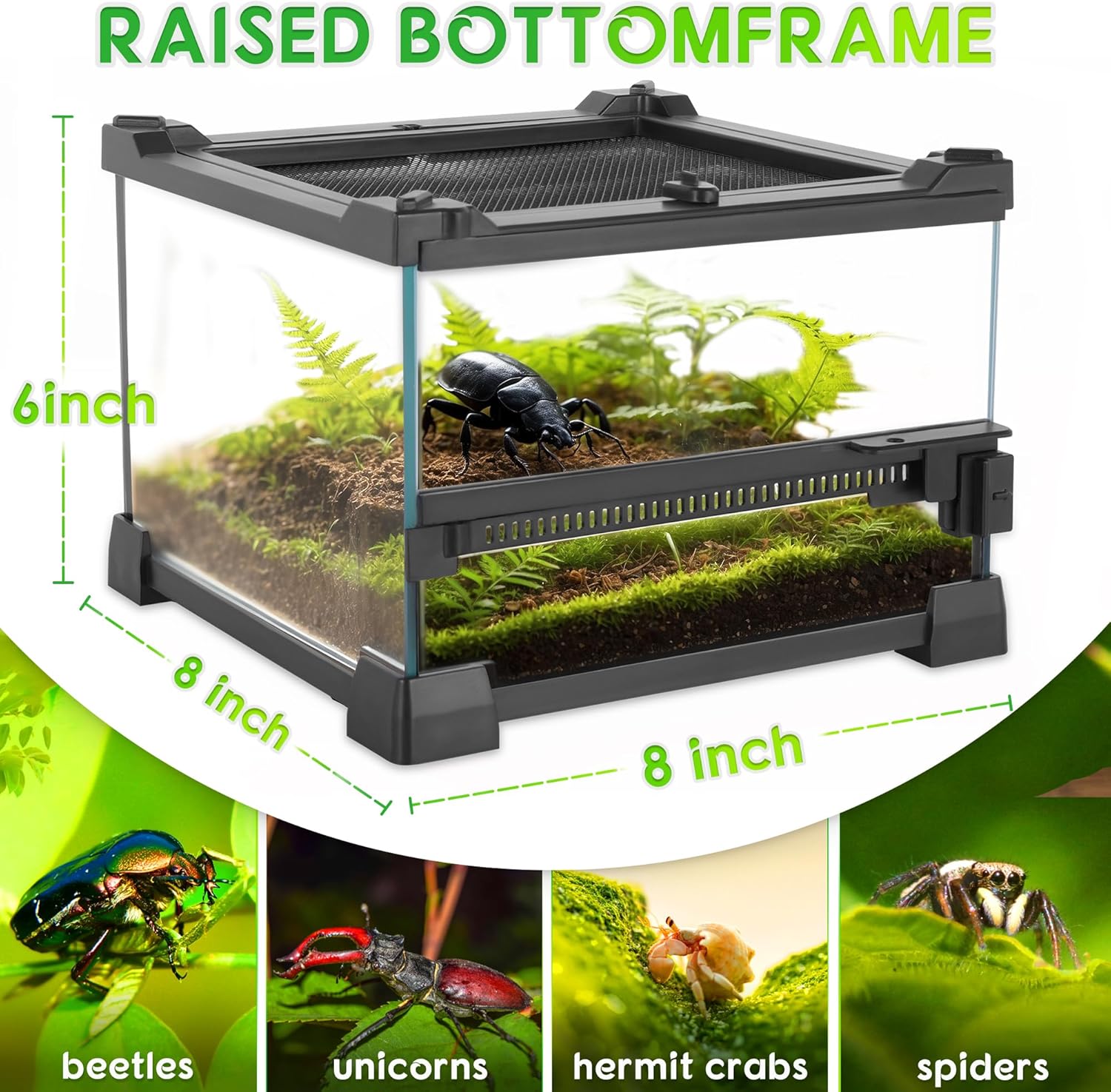 Mini Reptile Glass Terrarium 8"x8"x6" Durable Reptile Habitat Tank with Heat Resistant Aluminum Alloy Frame, Single Swinging Doors for no Jam by Sand and Other Debris - Pawvie