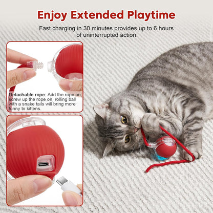 Interactive Cat Toy Dog Toy, Electric Automatic Rolling Moving Toys, Self Activated Play Smart Rolling Ball for Cats & Dogs, Chase Teaser Pet Ball for Bored Indoor Cats/Kittens/Dogs, Rechargeable