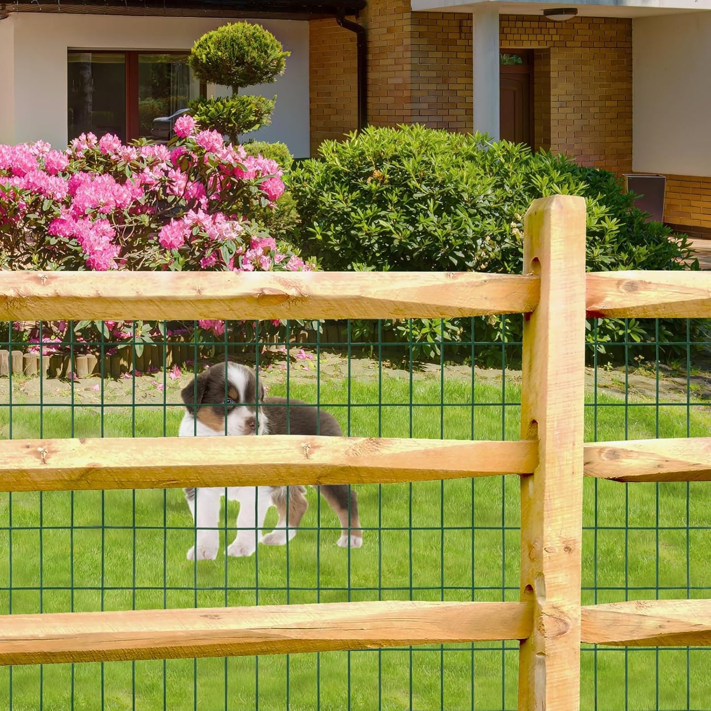 Green PVC Coated Welded Wire Fence 36 Inch x 50 Foot, 2 Inch x 4 Inch 14GA, Garden Border Fencing Roll Vinyl Coating Metal Wire Mesh Hardware Cloth for Yard Vegetable Plant Protection