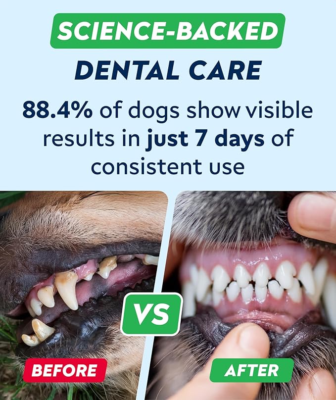 STRELLALAB Advanced Dog Dental Chews & Breath Freshener, Dog Teeth Cleaning, Bad Breath & Tartar and Plaque Off Remover for Dogs, Pet Oral Care, Pro Perio Support Lab Co Bright Formula - 90 Treats