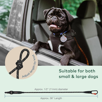 Dog Seat Belt for Car | Universal Dog Car Seatbelt | Durable Reflective Rope with Clip Hook Latch, Buckle and Alloy Carabiner- Safe and Secure Pet Safety Restraint