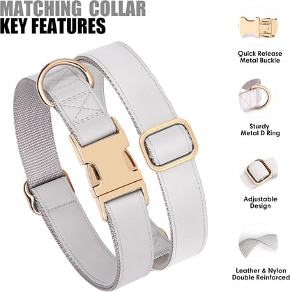 PET ARTIST Soft PU Leather Dog Collar for Small Dogs, Bright & Classic Nylon Padded Durable Dog Collar Leather with Quick Release Metal Buckle Adjustable for Male Dogs, Neck Fit 9-14"