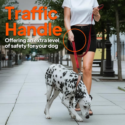 TwoEar 4FT 1IN Strong Green Dog Leash with 2 Padded Handles, Traffic Handle Extra Control, Comfortable Soft Dual Handle, Auto Lock Hook, Reflective Walking Lead for Small Medium and Large Dogs