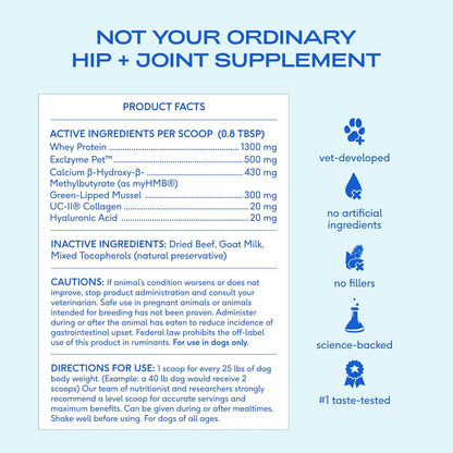Native Pet Advanced Care - Hip & Joint Supplement for Dogs - Supports Joints, Cartilage, Muscles & Anti-Inflammatory with HMB, UC-II Collagen, Green Lipped Mussel & Hyaluronic Acid - 30 Scoops
