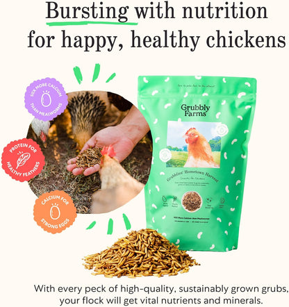 Grubblies - Black Soldier Fly Larvae for Chickens - Chicken Treats Grown in The US and Canada - for Strong Eggshells and Healthy Feathers - Grubblies Hometown Harvest 1LB