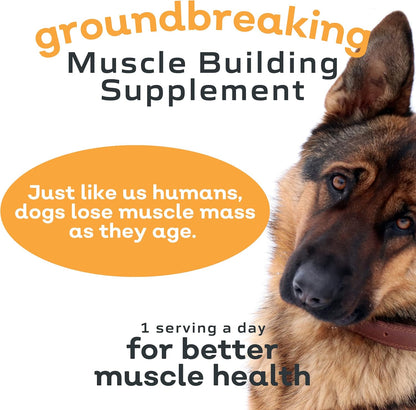 MYOS Canine Muscle Formula - All-Natural Muscle Building Supplement - Helps Reduce Muscle Loss in Dogs Due to Normal Aging and Improves Recovery from Injury or Surgery