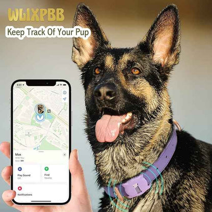 Airtag Leather Dog Collar for Small Medium Large Dog Adjustable Soft Padded Air Tag Puppy Collar Heavy Duty Metal Buckle Collar with Anti-Lost Airtag Holder Protective Case,M,Purple