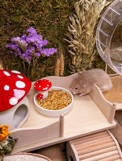 Niteangel Small Animal Snack & Treats Toy - Small Critter Natural Treat for Dwarf Syrian Robo Hamsters Gerbils Mice Lemmings Sugar Glider Hedgehogs Chickens Birds or Other Small-Sized Pets