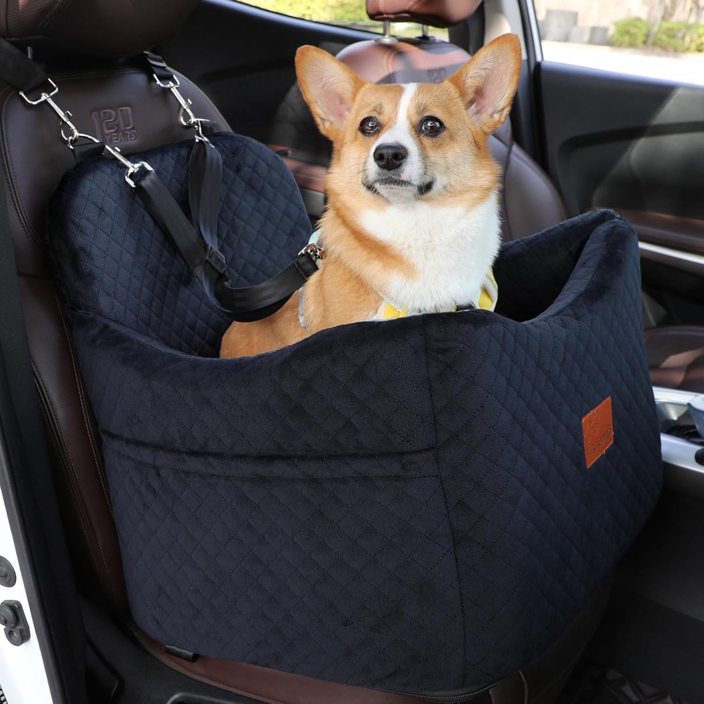 Dog Car Seats-Memory Sponge and Velvet Pet Booster Car Seat,Safety and Comfy,Ride Height 6" Elevated Enough to See Out The Window,Both Front and Back Seats Apply,Esay to Install and Clean.(H-Black) - Pawvie