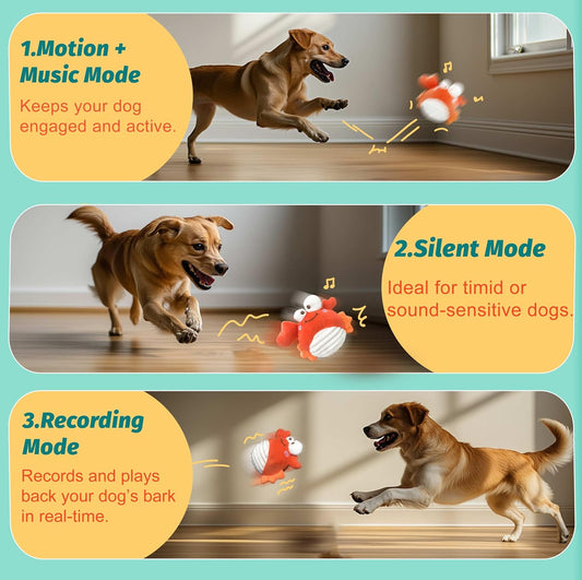 Crab Interactive Dog Toys â Rechargeable Self-Play Toy with Motion-Activated Ball & Music Recording Modes for Small, Medium & Large Dogs, Moving Dog Toy to Keep Them Busy