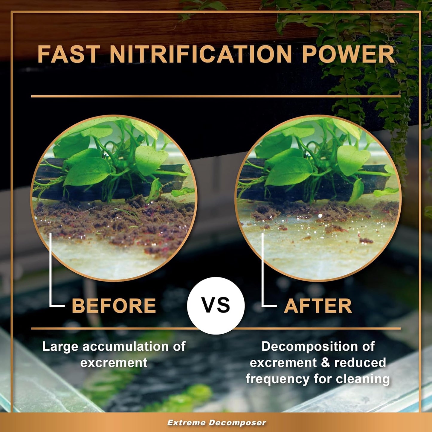 AZOOPLUS BIO XD Extreme Decomposer Nitrifying Bacteria for Freshwater and Saltwater Fish Tank 16.9 Ounces