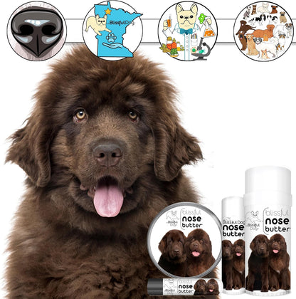 The Blissful Dog Bronze Newfoundland Nose Butter