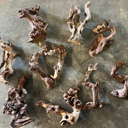 Small Natural Driftwood for Aquarium Styling Carefully Selected Natural Aquarium Decor Driftwood for Reptile Tank Reptile Tank Wood Decor (2pcs grapewood Branch 10-12inch)