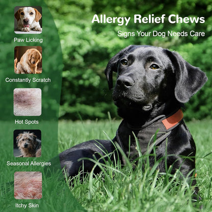 Dog Allergy Relief Chews, Dog Itch Relief Chews for Large Dogs Paw Licking Itchy Skin, Probiotics with Astragalus Omega-3 for Seasonal Allergies Coat Immune Supplement-300ct