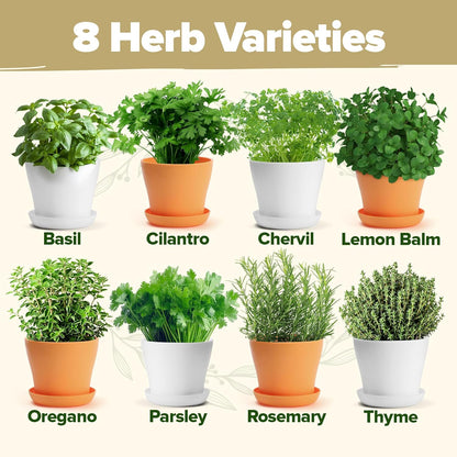 HOME GROWN 𝗣𝗥𝗘𝗠𝗜𝗨𝗠 𝗛𝗘𝗥𝗕 𝗞𝗜𝗧 8 Herb Seeds Garden Kit, Complete Indoor Planter Gift with Basil Cilantro Mint & More, Unique Kitchen Growing Set for Women Men, Birthday Housewarming Present