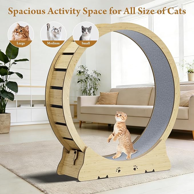 Large Cat Exercise Wheel, Quiet 48" Cat Treadmill for Indoor Cats, Running Wheel with Carpeted Runway & Stability Base, Ideal for Multiple Cats & Large Breeds for Fitness & Active Play