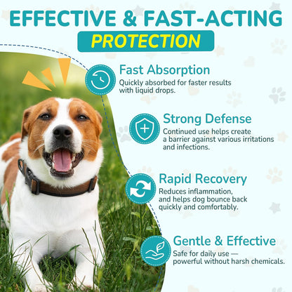 Antibiotics for Dogs | Natural Dog Antibiotics for Allergy Relief, Itch Relief, Coughs, Skin Health, Breath Treatment, Digestion | Herbal Supplement to Care for Ears, Eyes & Coat, 2 Fl Oz