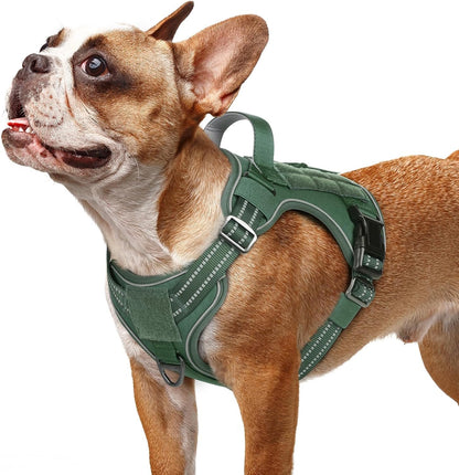 rabbitgoo Dog Harness Small Sized No Pull, Tactical Service Pet Vest with Molle and Control Handle, Adjustable and Reflective Military Harness for Easy Walking and Training, Green, S