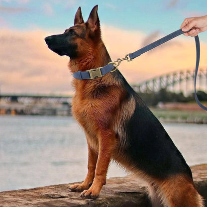 Didog Soft PU Leather Dog Collar, Stylish Quick Released Dog Collar for Large Dogs, Easy Clean Adjustable Pet Collar for Daily Walking, Blue, L Fit 15-23" Neck