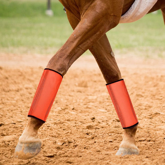 Jexine 12 Fly Boots for Horse Set of 12 Loose Breathable Mesh Horse Fly Sheets Protective Horse Leg Wraps Leggings for Preventing Flies and Mosquitoes Bites (Pink, Blue, Orange)