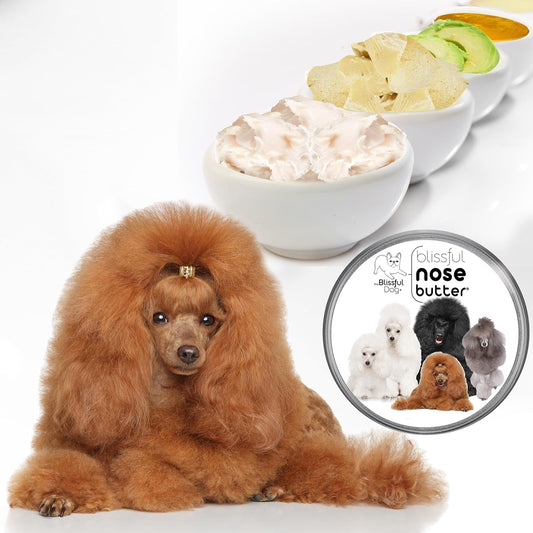 The Blissful Dog Poodle Nose Butter, Versatile Dog Nose Balm for Dry Nose, Handcrafted Nose Moisturizer, Easy-to-Apply Dog Essentials, Unscented, 1 oz.