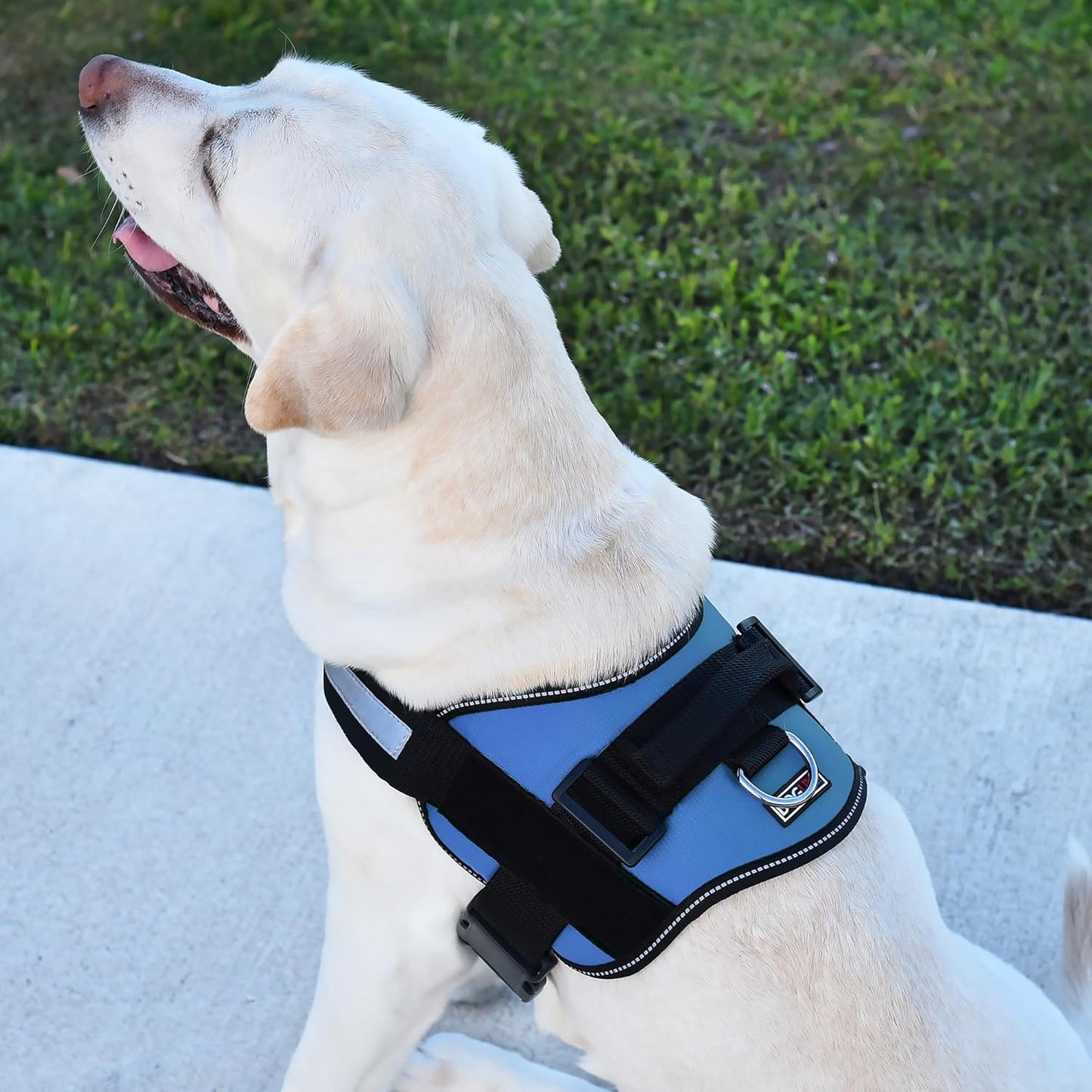 Dogline Dog Harness, Reflective No-Pull Adjustable Vest with Handle for Walking, Training, Breathable, No - Choke Harness for Small, Medium or Large Dogs Room for Patches Girth 22"-28" in Cyan Blue