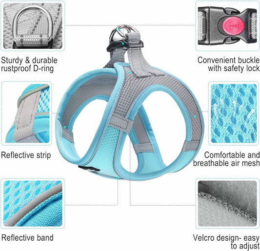 haapaw Dog Harness with Leash Set, No Pull Adjustable Reflective Step-in Puppy Harness with Thickened Padded Vest for Extra-Small/Small Medium Dogs