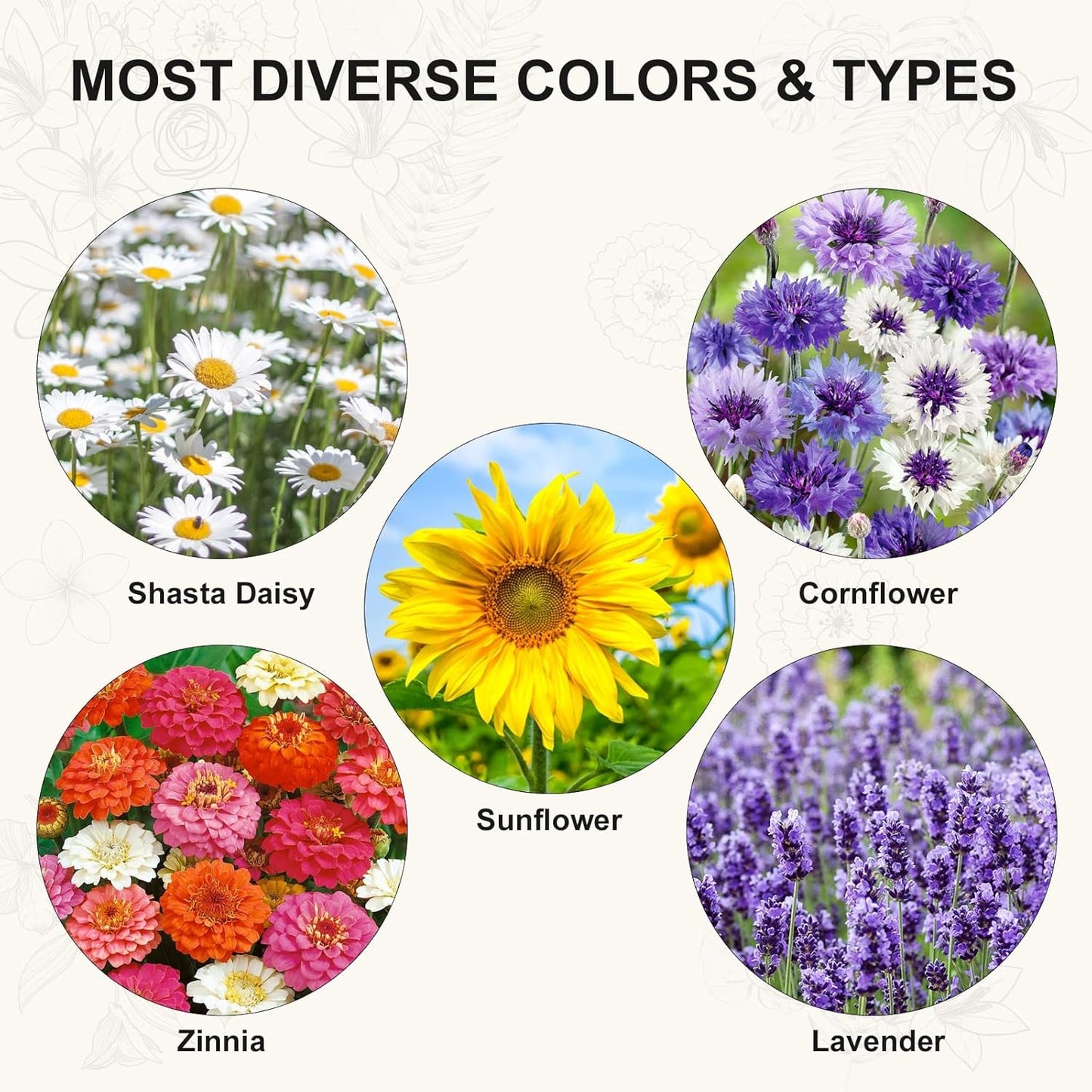 Indoor Daisy Garden Starter Kit with Gardening Tools - Jute Bags, Markers, Soil Disks and Shears, Home Gardening Gifts for Women Men Plant Lovers