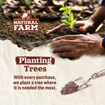 Natural Farm Odor-Free Bully Sticks (6”, 8oz) All-Natural Long-Lasting Chews, 100% Beef Pizzle, Grass-Fed, Grain-Free, Hormone-Free, Protein for Muscle Development & Energy, Perfect for Medium Dogs