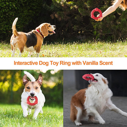 Dog Chew Toys 4 Pack, Dog Toys for Aggressive Chewers Small Medium Large Breed, Multifunctional Teeth Cleaning and Gum Massage, Tough Dog Toys with Natural Rubber for Puppy and Medium Large Dog